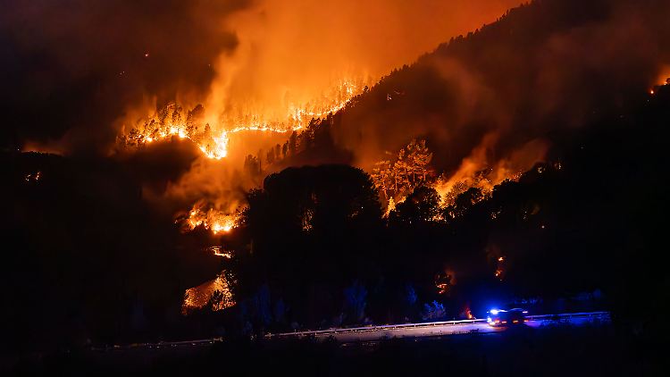 Brände zerstörten weltweit Waldfläche von der Größe Österreichs