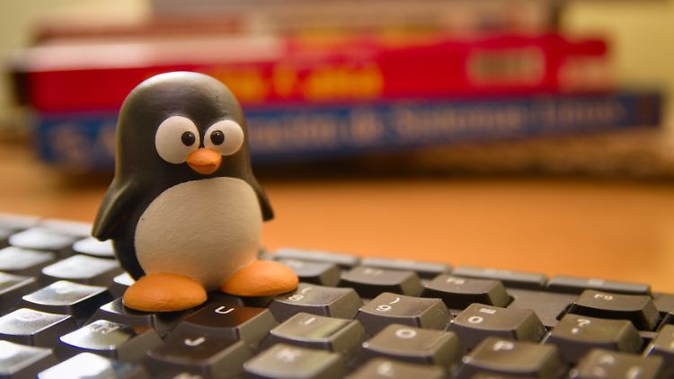 Diese Linux-Varianten sind idealer Windows-10-Ersatz