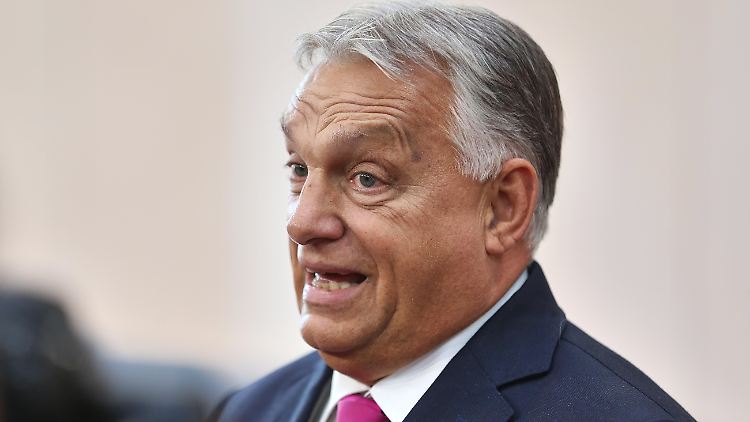 Orban: Europ&auml;er behindern Trumps Friedensbem&uuml;hungen