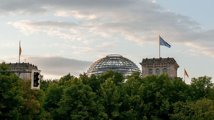 IBES im Kanzleramt: Die Koalition muss in die Dschungelprüfung