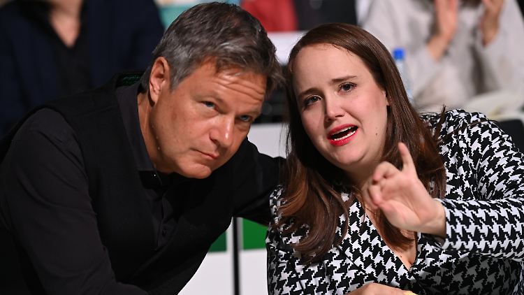 Ex-Grünen-Chefin Lang hält Habeck-Strategie für falsch