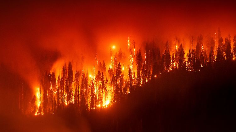 Die Erde ist am Limit