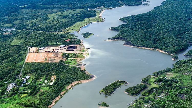 Regenwald-Abholzung in Brasilien weiter rückläufig