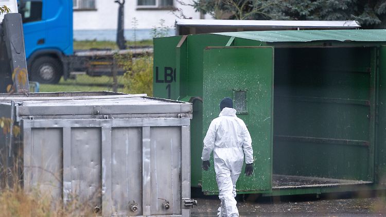 Verband befürchtet steigende Eierpreise wegen Vogelgrippe