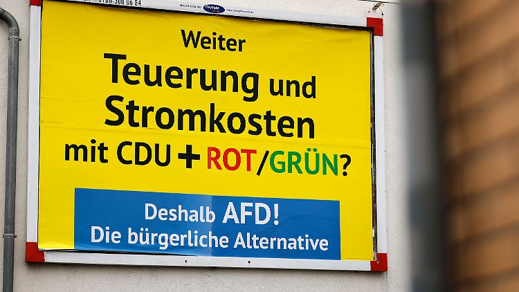 AfD will 2,3 Millionen Euro vom Bundestag zurück