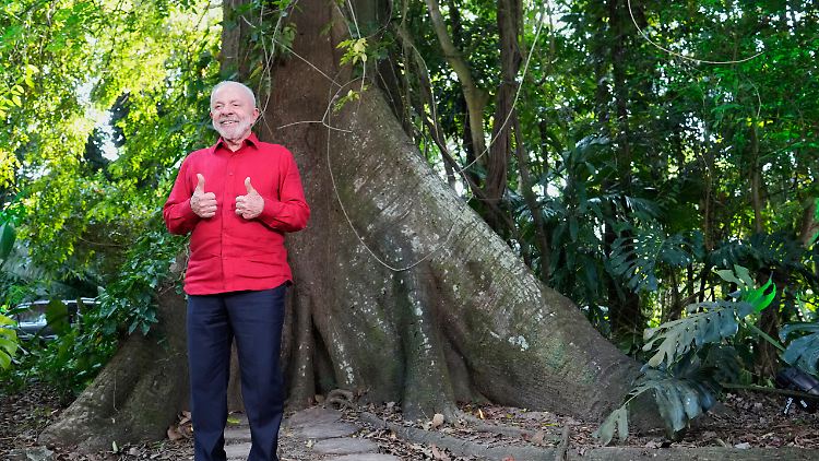Lula startet Milliardenfonds f&uuml;r Tropenwald