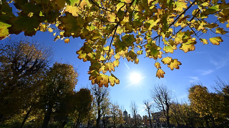 2025 wird eines der wärmsten gemessenen Jahre