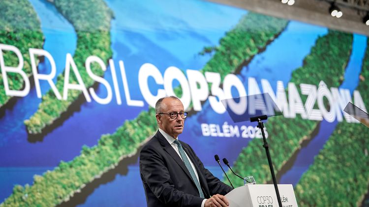 Merz will "namhaften Betrag" f&uuml;r Tropenschutz geben